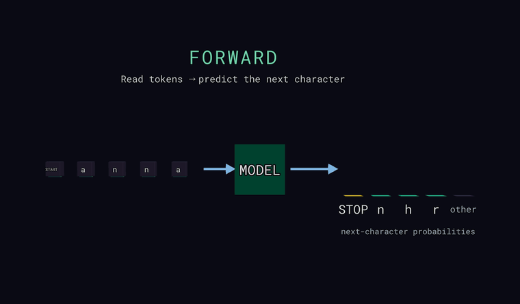 Forward: input characters feed a MODEL box; on the right, labeled bars show the probability of each next character, tallest highlighted
